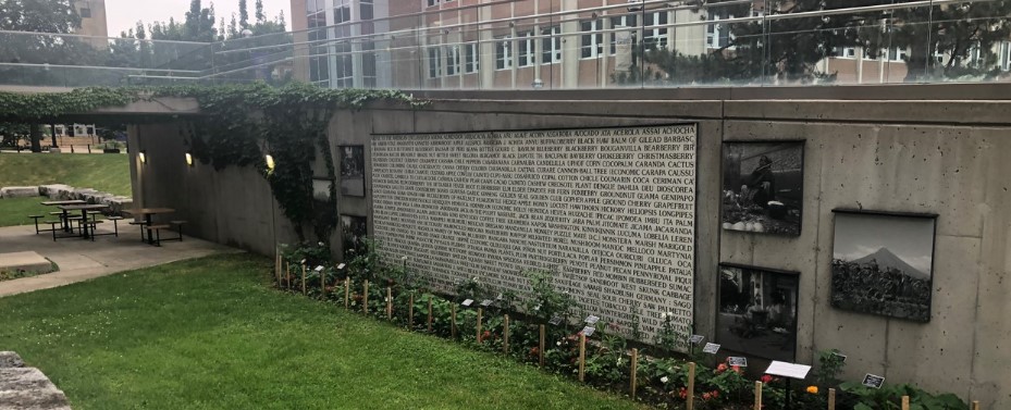Garden and sitting area between ramp into library and building; can be accessed by stairs or a side ramp