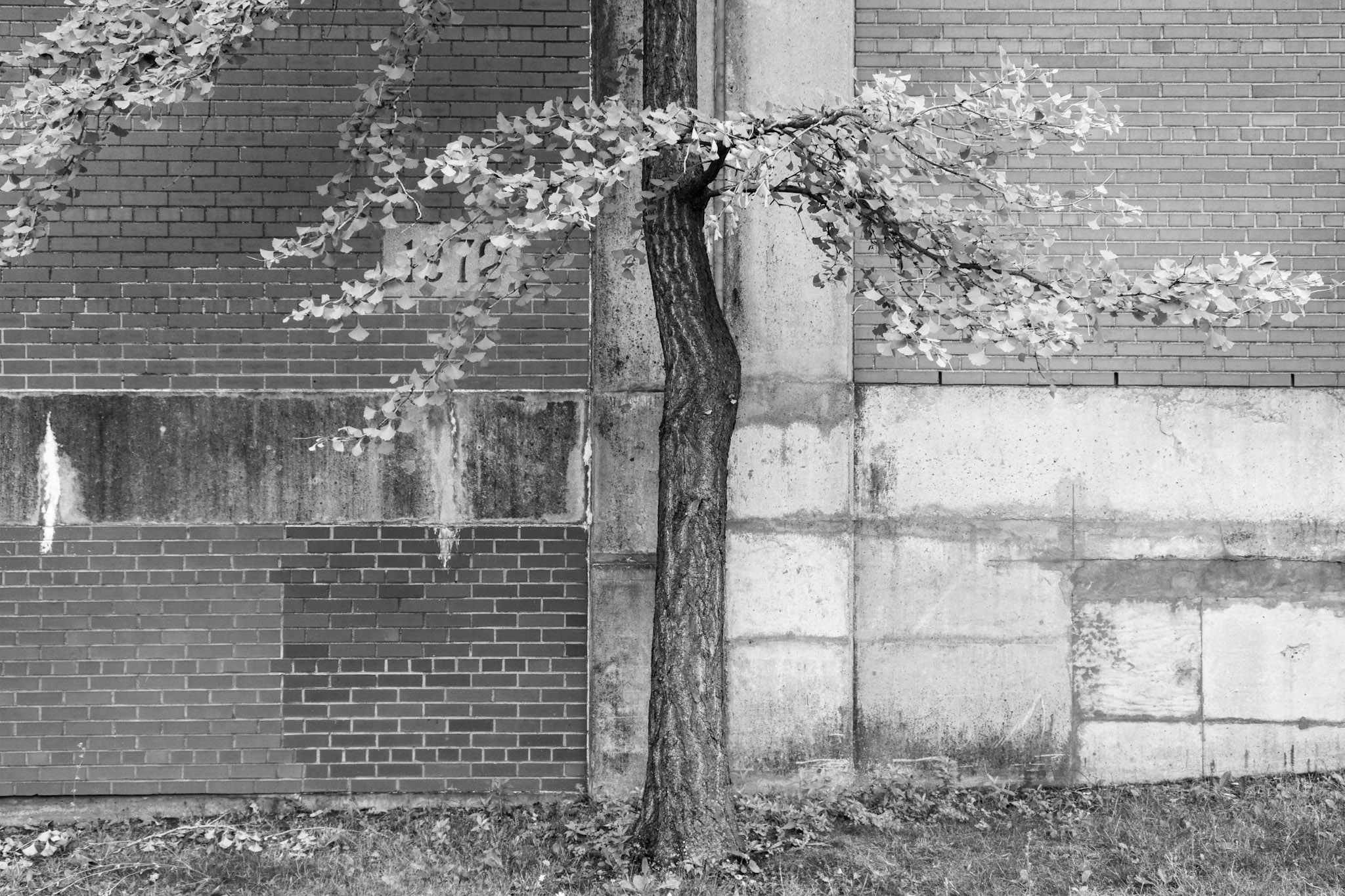 Description requested from curator