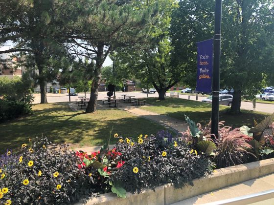 Outside the Laurier library, there’s a picnic area with flowers, grass, trees, and tables where people enjoy their lunches. Caution: Amidst the tables is a metal, rusted art piece that has a head-level obstruction.