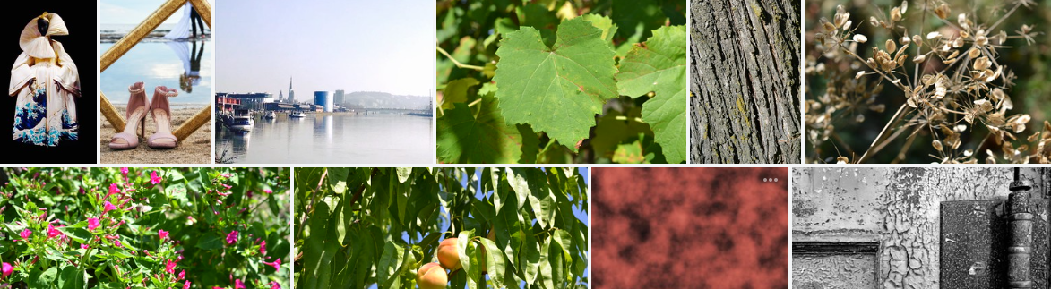 Collage of images, from clothing to landscape