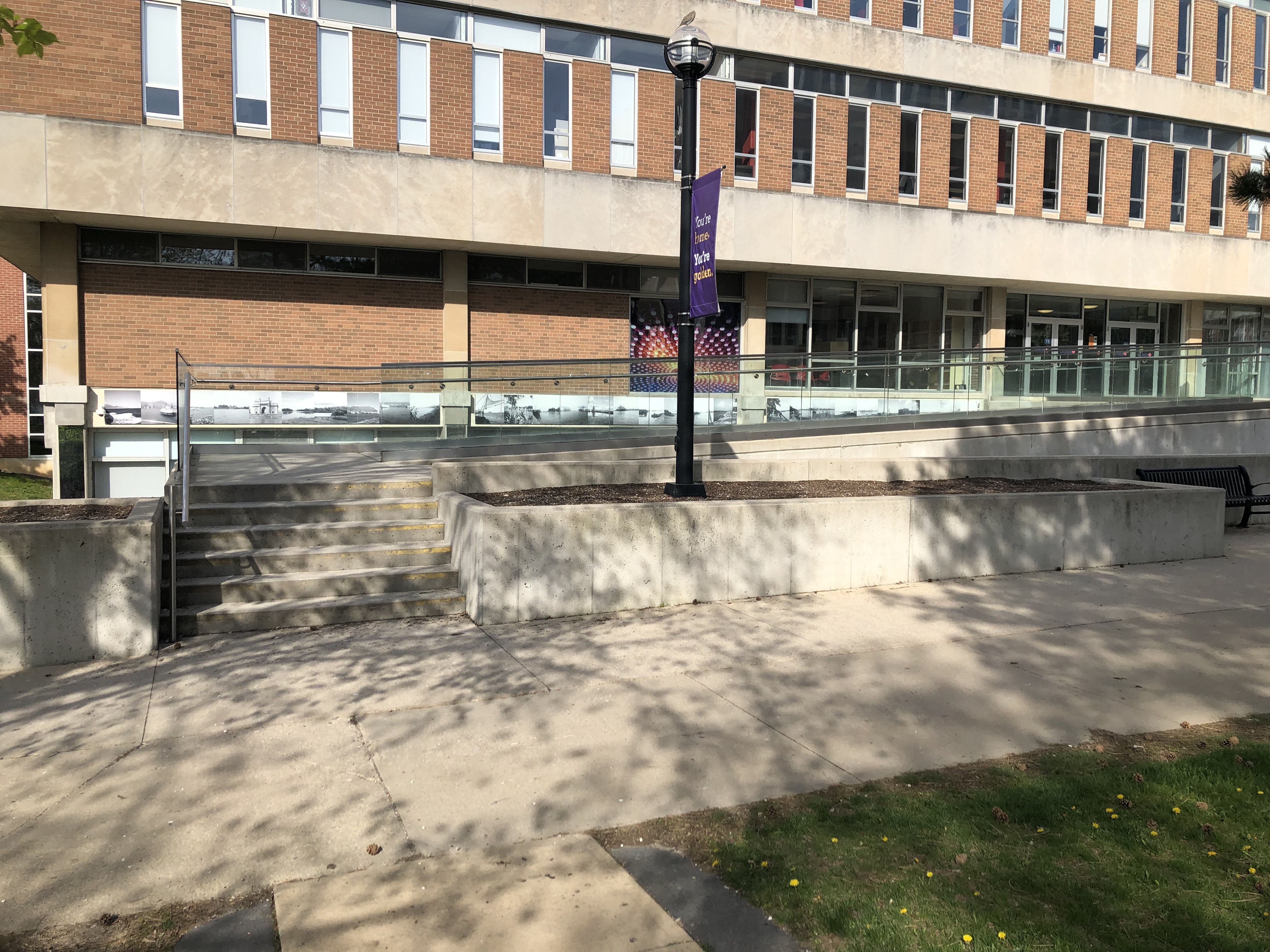 Two routes into the library. A ramp goes from ground level to a mid-point which turns back to ascend along a second part of the ramp. The second route starts at stairs, with handrail on the left going up. The stairs intersect with the first ramp at the mid-point. 