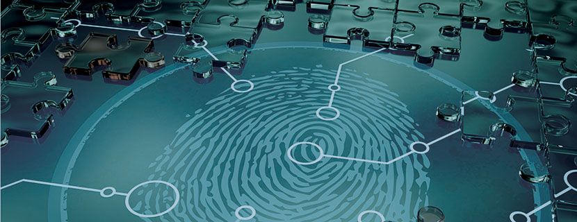 A fingerprint surrounded by puzzle pieces that have been fit together. Parts of the puzzle are linked to patterns in the fingerprint.